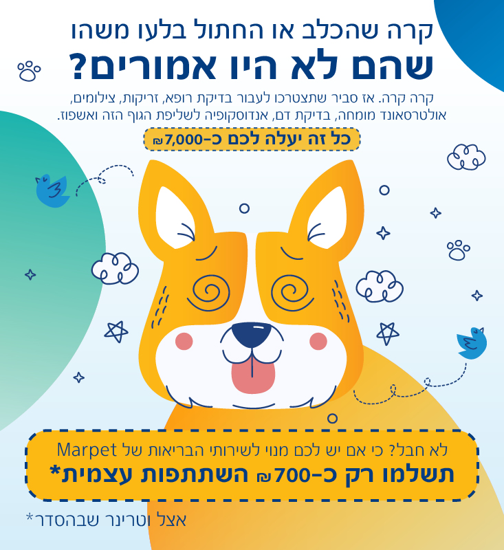 חוסכים בכסף כדי לא לחסוך באהבה
