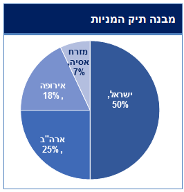 מבנה תיק המניות