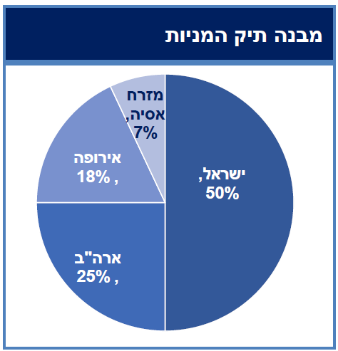 מבנה תיק המניות