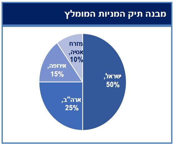מבנה תיק המניות המומלץ