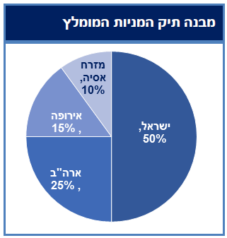 מבנה תיק מניות מומלת