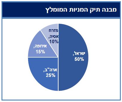 מבנה תיק המניות המומלץ