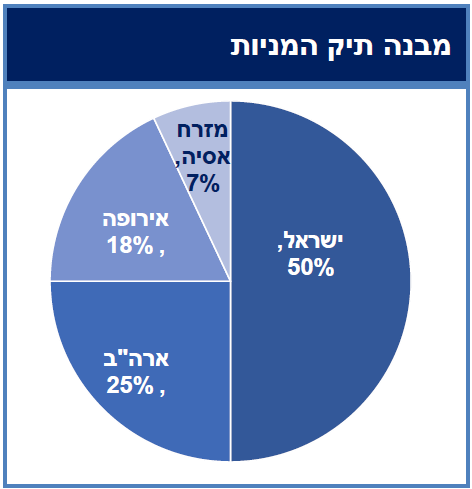 מבנה תיק המניות
