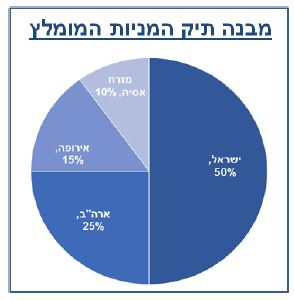 מבנה תיק המניות המומלץ