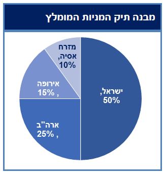 מבנה תיק המניות המומלץ