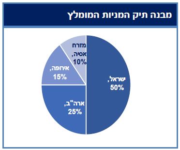 מבנה תיק המניות המומלץ