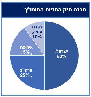 מבנה תיק המניות