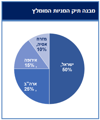 מבנה תיק המניות המומלץ