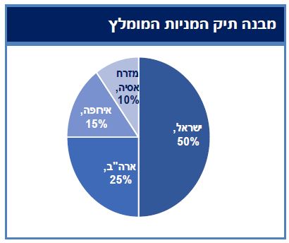 מבנה תיק המניות המומלץ