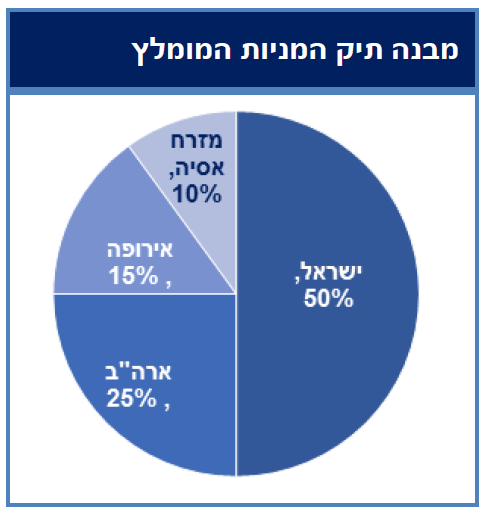 מבנה תיק המניות המומלץ