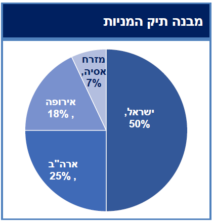 מבנה תיק מניות
