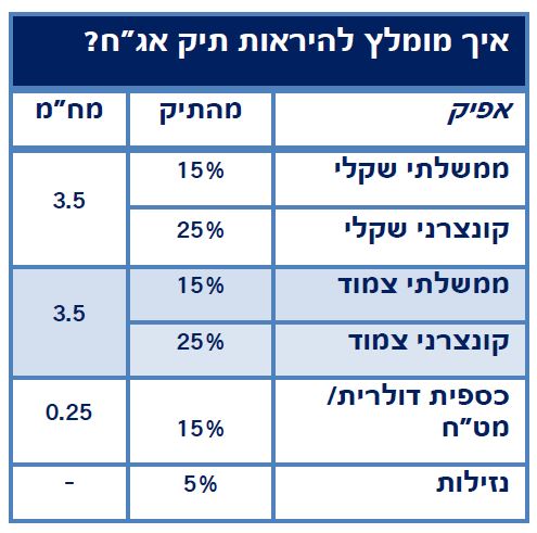 מבנה תיק האגח המומלץ