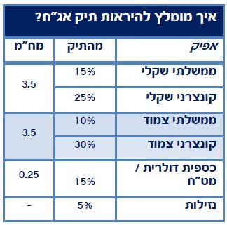 איך מומלץ להראות תיק המניות