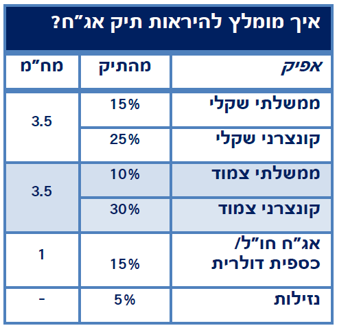 איך אמור להראות תיק אג"ח