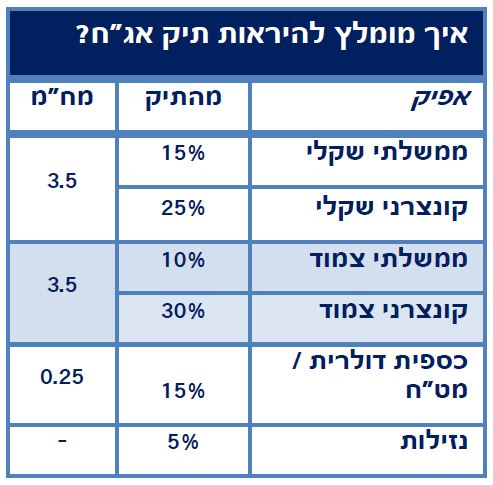 איך מומלץ להראות תיק אג"ח