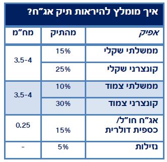 איך מומלץ להראות תיק אג"ח