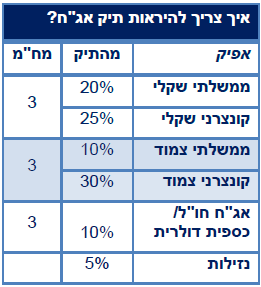 טבלה המראה איך צריך להראות תיק אג"ח